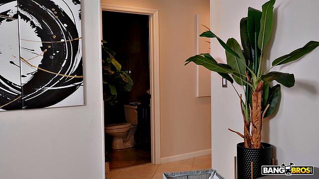 the Magnificent Booty