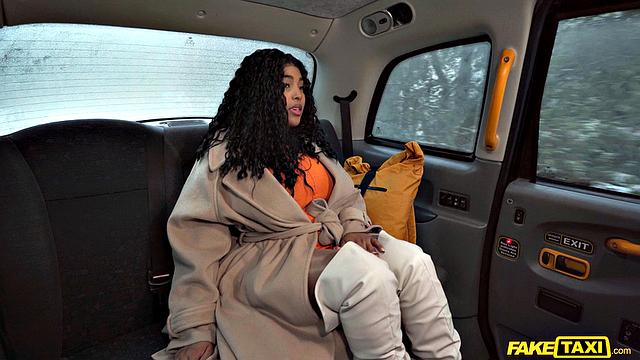 Big Tits do the Talking