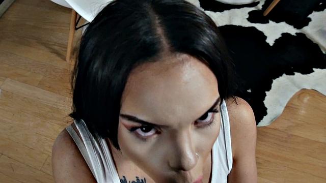 Green Card For V Card