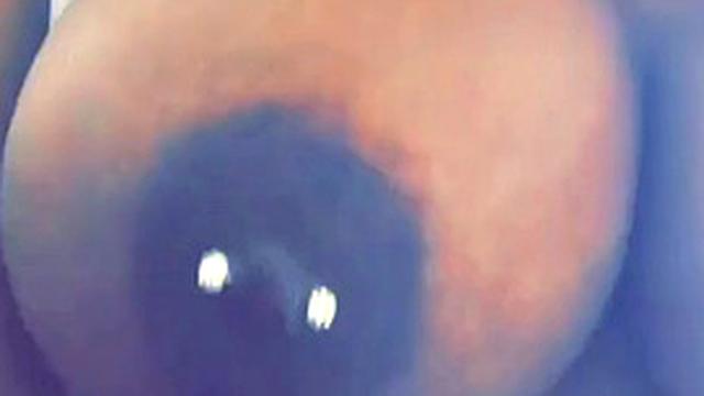 Sarah's bald pussy gets pounded by a BBC while she plays with her small tits