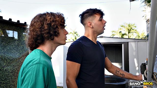 Just Another Horny Day