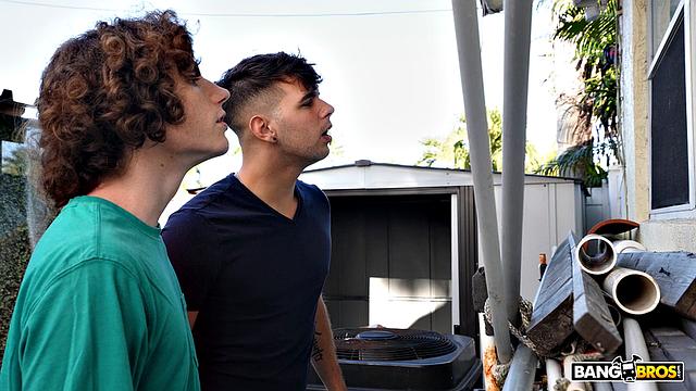 Just Another Horny Day