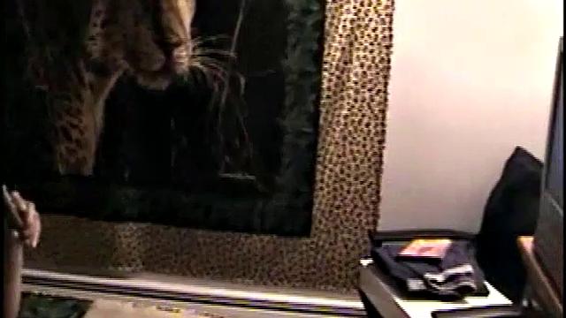 Eating Cum Off Black Cock