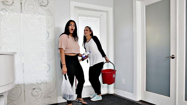 Mister Clean and the Messy Mistress