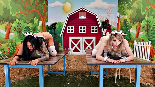 TRANSFIXED - Greedy Avery Jane Works Hard To Get More CREAMY From Sexy Eva Maxim & Izzy Wilde