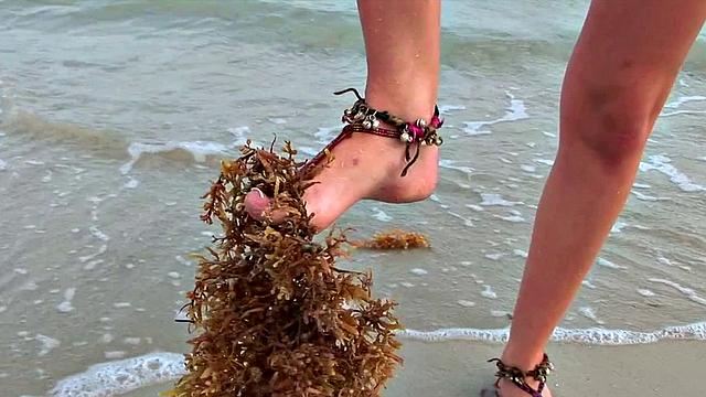 Sandy Toes