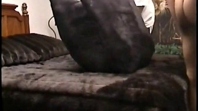 Straight Dino Sucking Dick