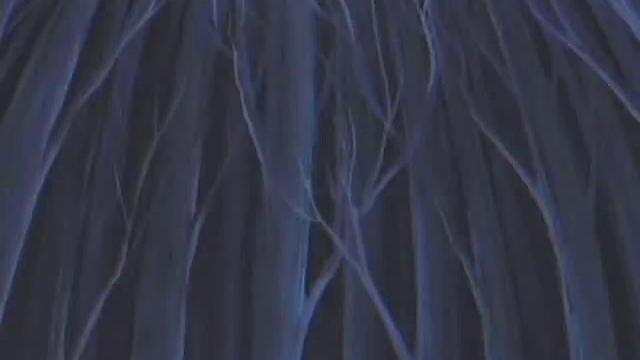 Watch Hentai Love Story And Hardcore