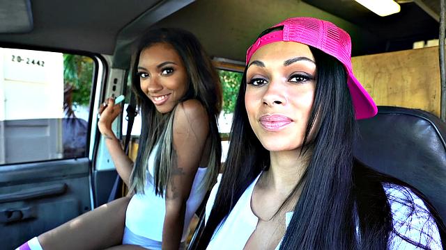 I Scream 4 Ice Cream