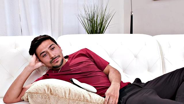 Hairy bitch in lingerie threesome