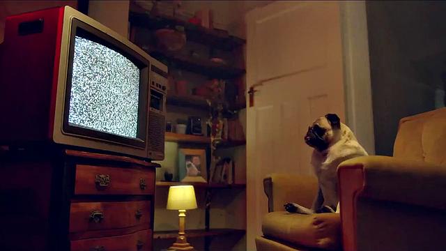 Blake Blossom Vs. Hungrylla