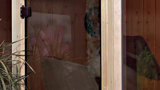 VIPissy - Gabriella Nicol Love - Pissing Lesbians