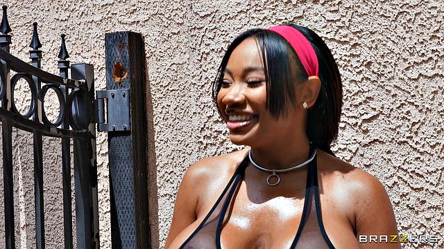 Tits Swaying In Wind