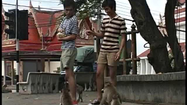 Skinny Asian gets sucked and barebacked in amateur duo