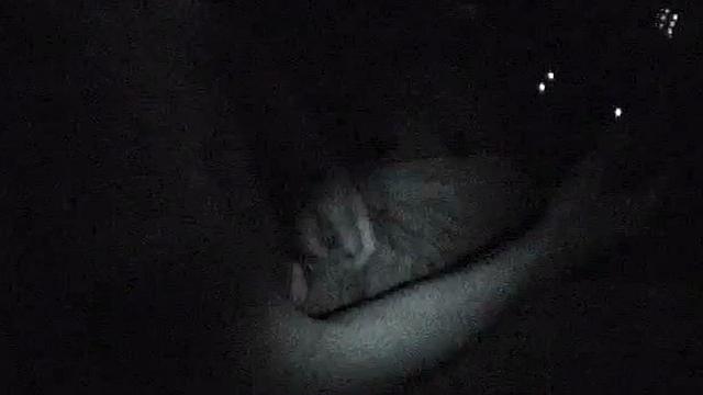 Naughty night vision slut sucks dick