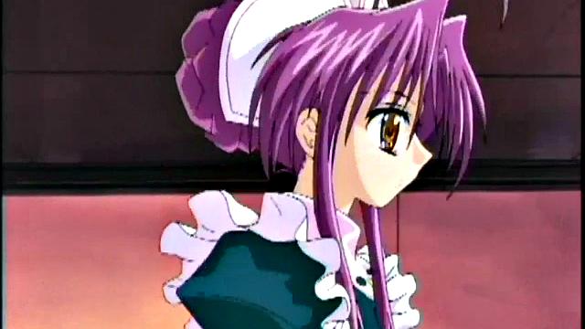 Hentai Teens Love To Serve in This Anime Video