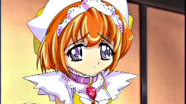 Hentai Teens Love To Serve in This Anime Video