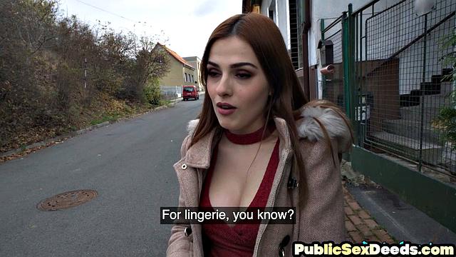 Public babe in stockings picked up and fucked