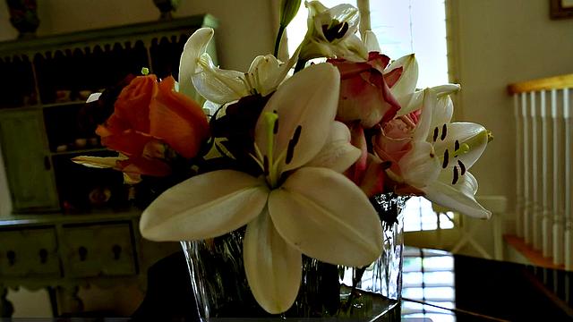 Using Her Friend's Toy