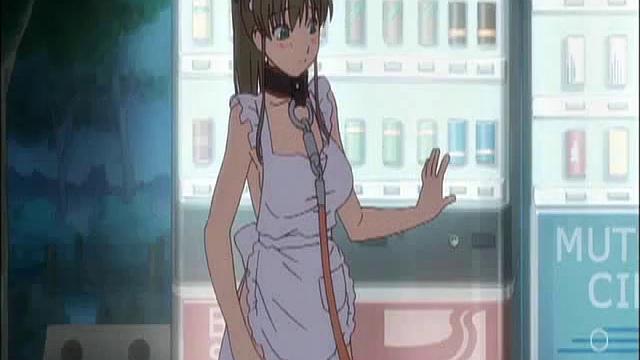 Maid In Apron Humiliated And Walked With Leash