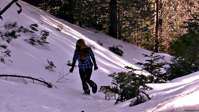 Snow Covered Seduction