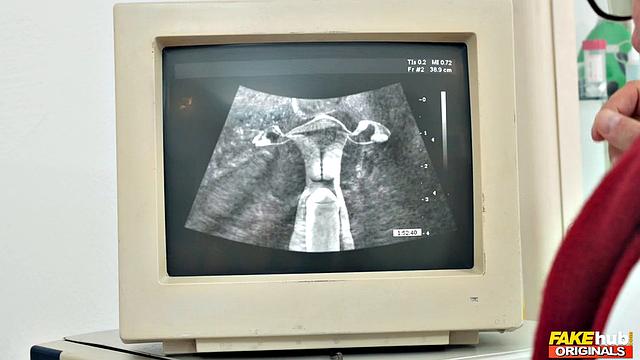 The Fertility Clinic