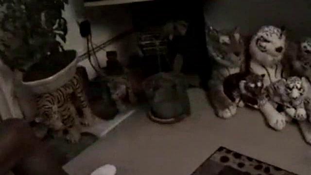 Str8 Jedi Blows Vince