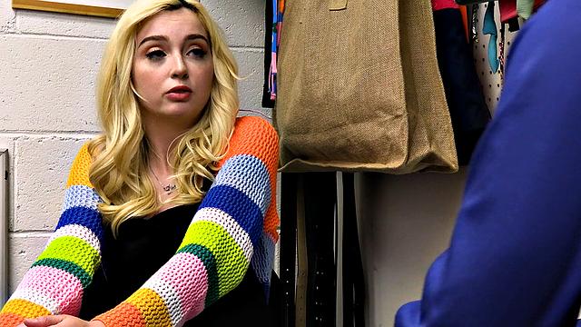 Case No. 7906248 - Robin Hood Thief