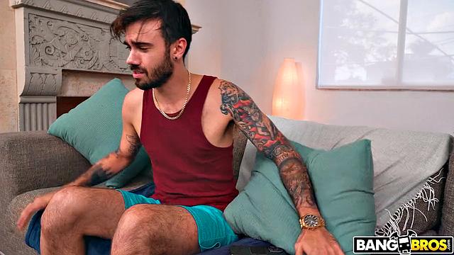 The Irresistible Ass