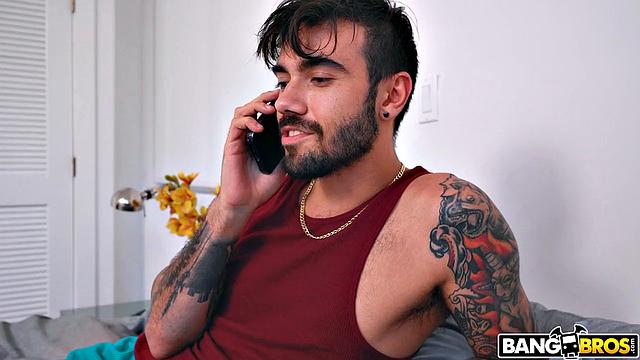 The Irresistible Ass