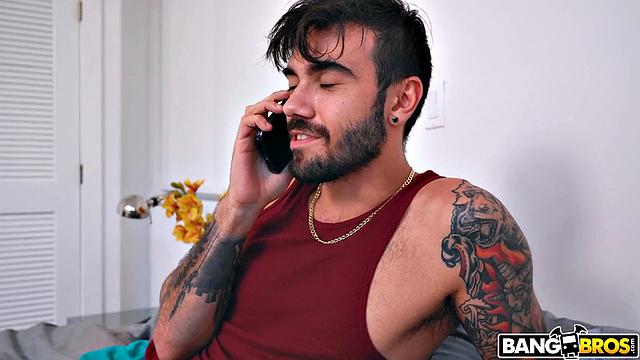 The Irresistible Ass