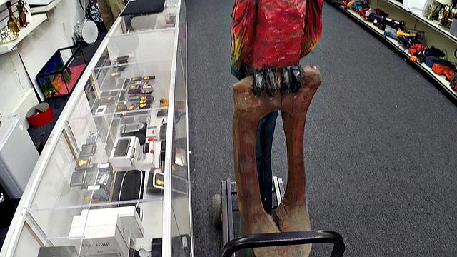 Pawnshop bae drilled by big dick in POV after blowing