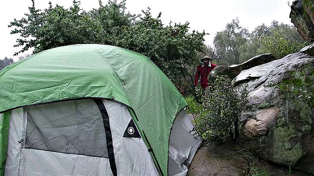 Мэдисон Морган изменяет своему парню с черным жеребцом