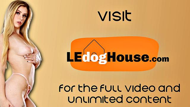 Пышная красотка сначала кайфует от ласки, а потом ловит анальный догги