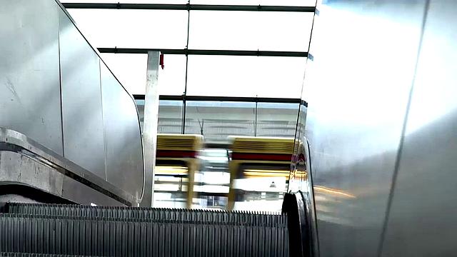 Dripping Hot Career Splits