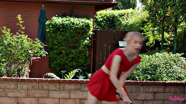 Court Side Assistance