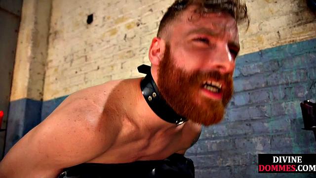 Госпожа жёстко связывает неудачника и заставляет обожать её ноги до изнеможения!