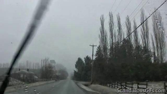 возбужденная красотка в очках мастурбит в машине