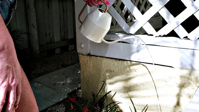 Mom gets ass-fucked in her first scene!