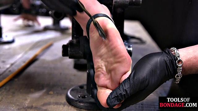 bdsm trapped slut gets pusdytoyed