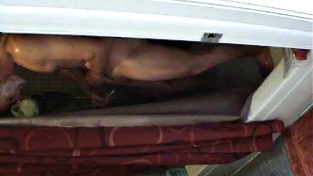 Горячая девушка устраивает шоу в душе и бреет ноги на камеру