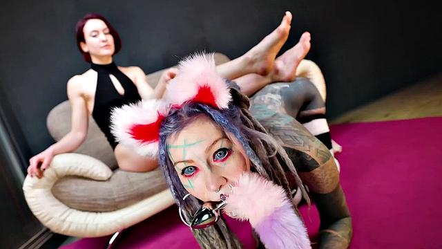 Татуированная кошка слушается хозяйку и раздвигает попку для анального фана