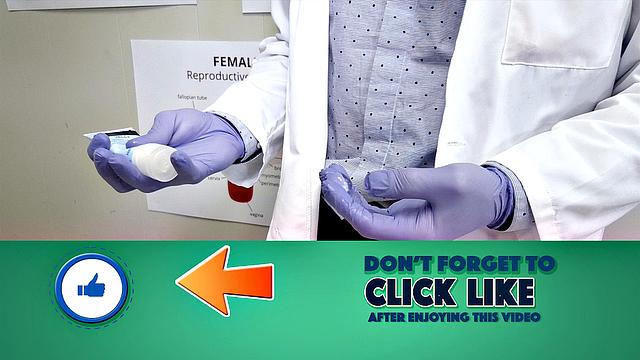 Meat Stick Insertion