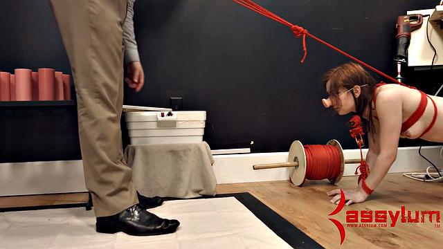 Kinky tied submissive sucking