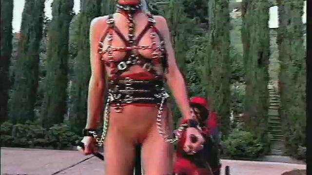 The Erotic World of Shayla LaVeaux