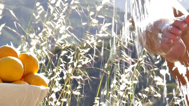 блондинка с жадностью дрочит свою гладкую киску на природе