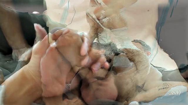 Stepmom catches her adult stepson stroking and joins him for a hot gay session