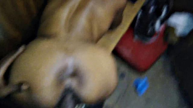 Texas BBW Ebony MILF gets her tight pussy pounded in close-up POV doggystyle action