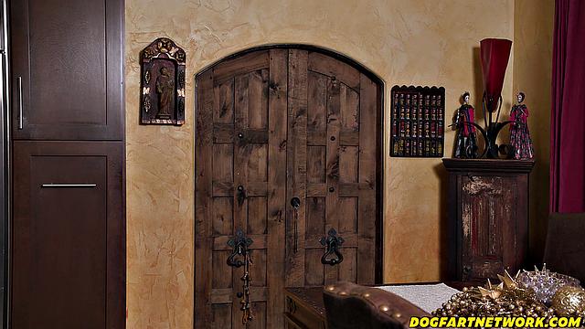 Huge Cocked Delivery Man Makes Busy Babe Purr - DogfartNetwork.