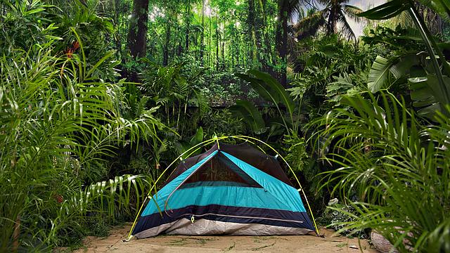 Lost Trans Inluencer Drilled By Hunk Stranger - GenderXFilms